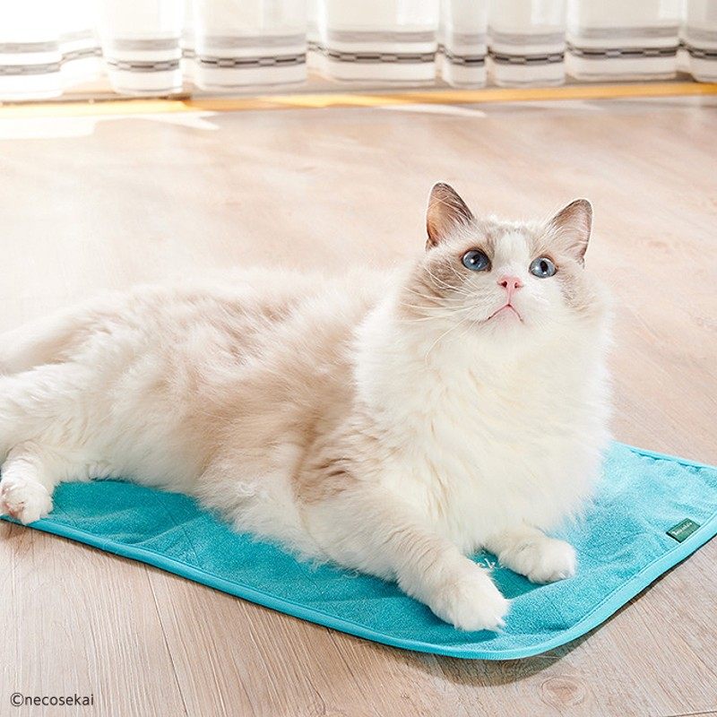 猫咪世界 夏季冷感清凉垫夏季专用冷感垫双面使用猫垫子宠物用品