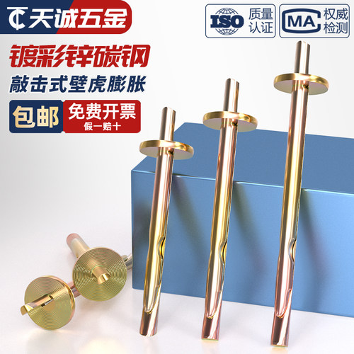 彩锌插片壁虎膨胀螺丝敲击式蓬胀A钉水泥墙快速打入式蓬胀螺丝6mm