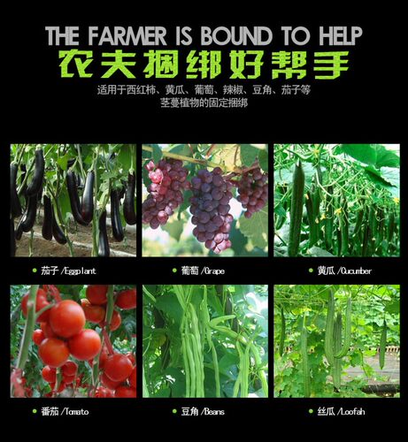 绑黄瓜绑枝机胶带绑枝神器葡萄西红柿绑枝机绑藤绑蔓器捆绑机钉子