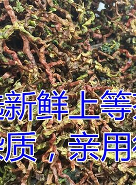 茶叶抱枕靠枕床头靠背午睡护腰芯汽车除异味女生卧室小沙发多功能