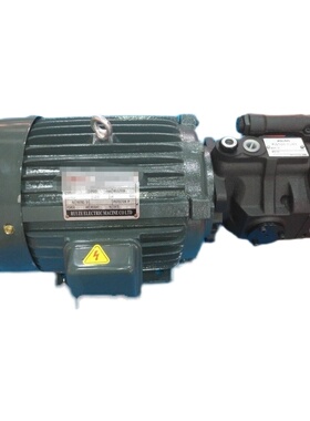 三相电机220伏2.2KW 4P 柱塞泵V15A3R10X
