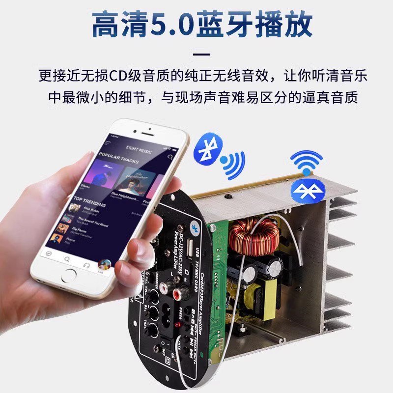 220V24V货车300W大功率对管纯低音功放板 6寸8寸12寸蓝牙车载低音