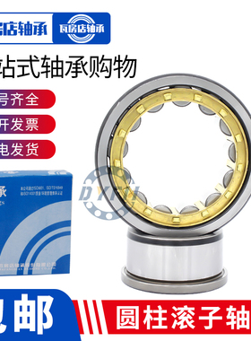 瓦房店圆柱滚子轴承NF 202 203 204 205 206 207 208 209 EM