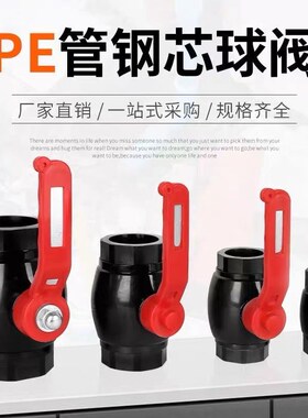 PE钢芯球阀管件大流量自来水开关水管配件4分20闸阀6分25热熔阀门