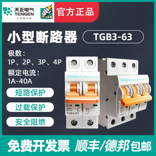 TENGEN天正TGB3-63/125空气开关小型断路器1P2P3P4P电闸20A32A63A