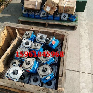 上海机床厂齿轮泵 GPA3-25-E-20-R6.3,Q=40L/min,进出口G1 1/2
