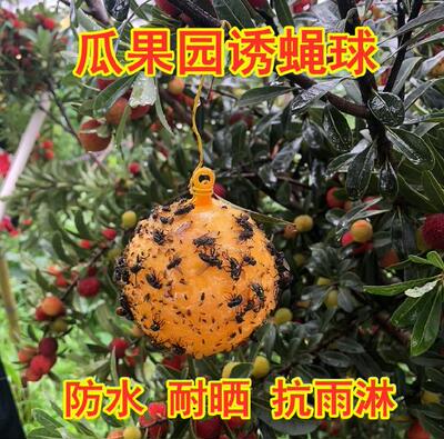 大实蝇诱蝇球诱杀防雨马蜂不流胶挂绳瓜果沾虫7cm粘球蜜蜂水果