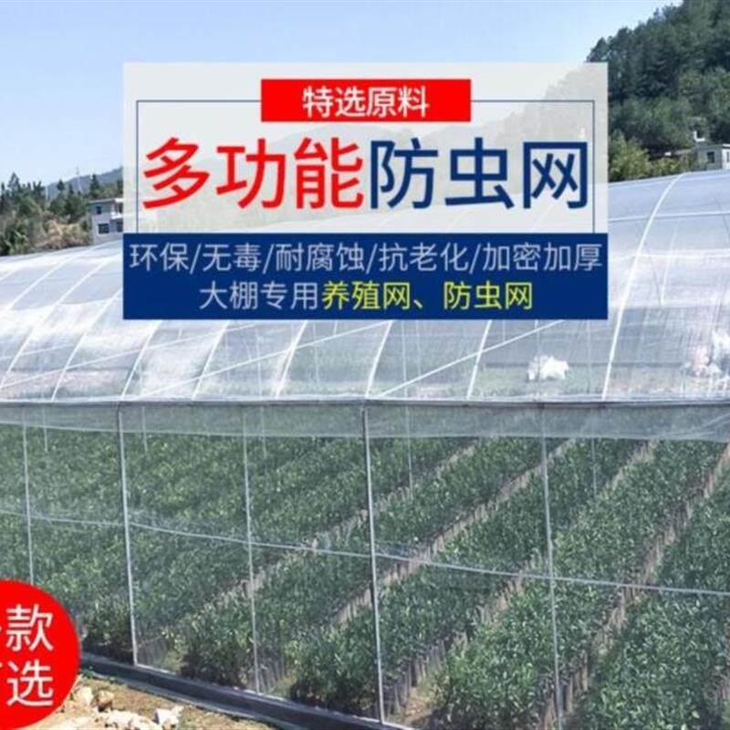绿植冰雹。育种防虫网害虫农用铺底防垫底漏水园艺垫防家庭大棚透