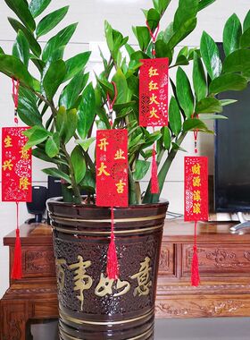店庆装饰商场开业门店盆栽小挂饰店铺庆典公司搬迁金钱树绿植吊饰
