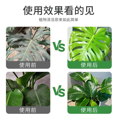 贝可施花卉除污剂一喷净植物叶面光亮清洁洗剂旗免稀释叶面肥料