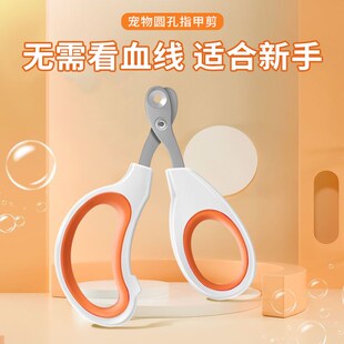 鹦鹉鸟类专用指甲剪套装指甲刀修剪指甲钳磨甲器虎皮玄凤牡丹用品