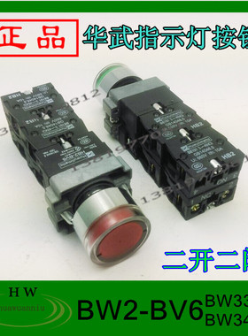 华武HB2-BW33M1/34M2二开二闭220V10A指示灯按钮开关红绿直销