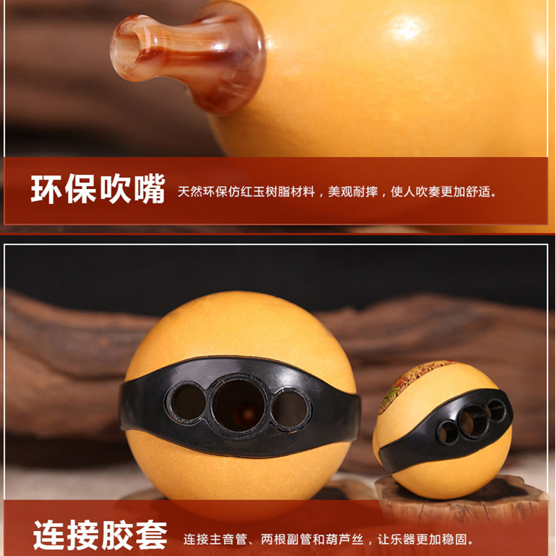 滇南丝韵紫竹葫芦丝乐器初学C调降B调小学生儿童成人初学者胡芦丝
