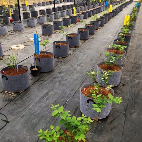 无纺布加厚种植袋楼顶庭院美植袋阳台户外特大种植盆花盆育苗袋