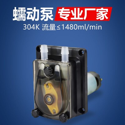 杰恒304K蠕动泵大流量自吸循环泵24v糖浆泵饮料灌装机小型抽水泵