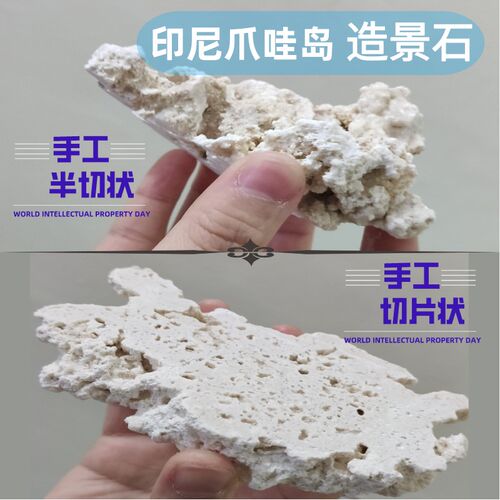 印尼爪哇石海鱼缸造景代替活石片状天然干岩免爆藻死石培菌珊瑚缸