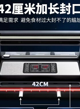 蓝莓牌PW420全自动真空机3泵商用大米砖袋熟食铝箔袋干湿两用42cm