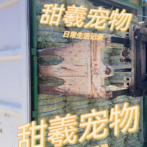 acx美提/G美提/澳麦/加提草片未删版5斤装/10斤装/机筛5斤装/10斤