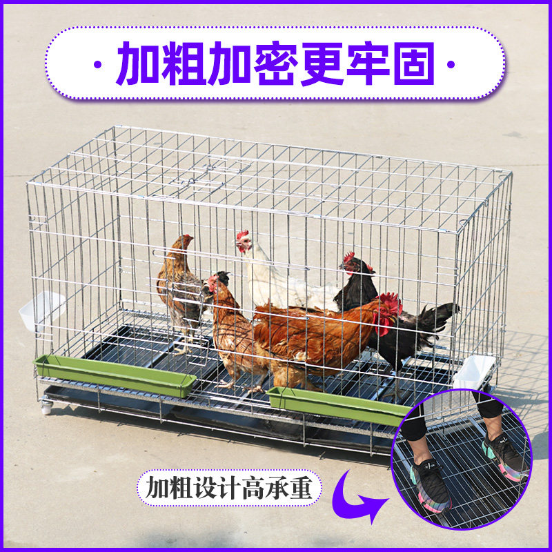 角钢鸡笼特大号折叠鸡笼子鸡舍小型家用自动滚蛋加粗兔笼养殖鸡笼