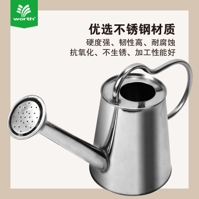 沃施worth园艺不锈钢浇水洒水壶花园浇花家用植物喷水大容量4.5L