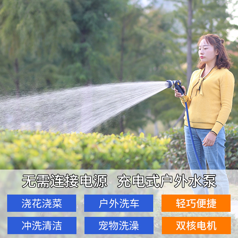 便携式抽水机充电水泵12v户外浇菜水泵家用洗车小型充电式抽水泵
