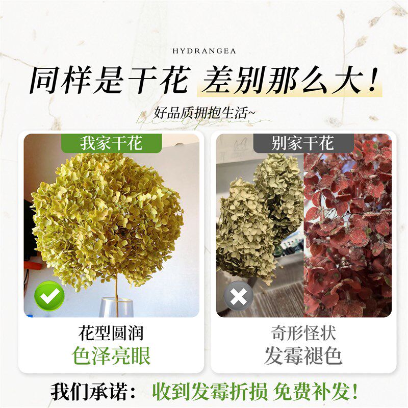 绣球干花真花风干天然diy材料客厅摆设室内插花束装饰摆件高级感