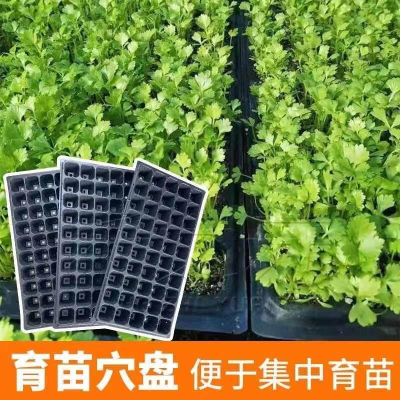 育苗盘穴盘塑料杯种植神器营养钵蔬菜多肉育种扦插盒农用托盘盆栽