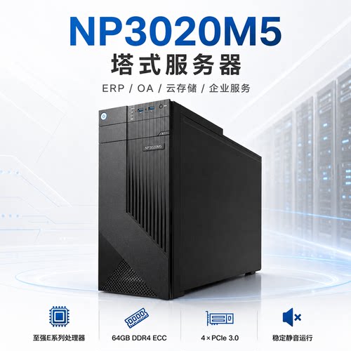 至强E系列NP3020M5塔式服务器