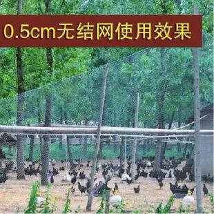 防鸟网罩樱桃网果树防鸟网果园尼龙网防护罩防雹网葡萄蔬菜家用网