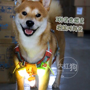 Laroo莱诺榛子发光吊坠夜晚遛狗防走丢充电夜光led趣味百搭配饰灯