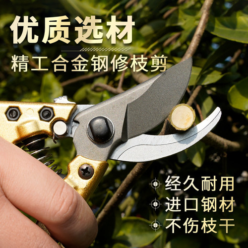 园林剪刀修枝剪果树剪枝神器园艺修剪树枝强力剪子家用省力修花剪