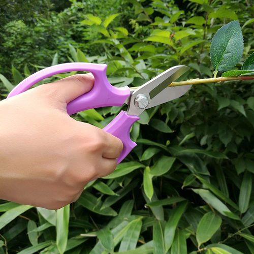 花艺制作工具整枝剪不锈钢剪刀园艺修枝剪手工花艺师玫瑰包花材料