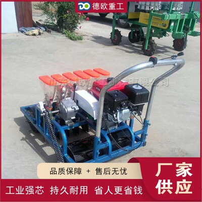 大棚蔬菜播种设备 小型手推式胡萝卜种植机 Vegetable Seeder