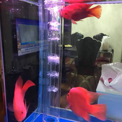 2021水族三重溢流管件套装消音片螺旋静音下水管鱼缸水族箱消声音