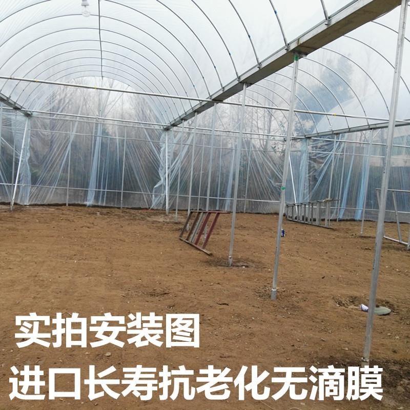 大棚膜PE塑料纸l薄膜蔬菜温室无滴膜加厚保温透明PO膜养殖黑白膜