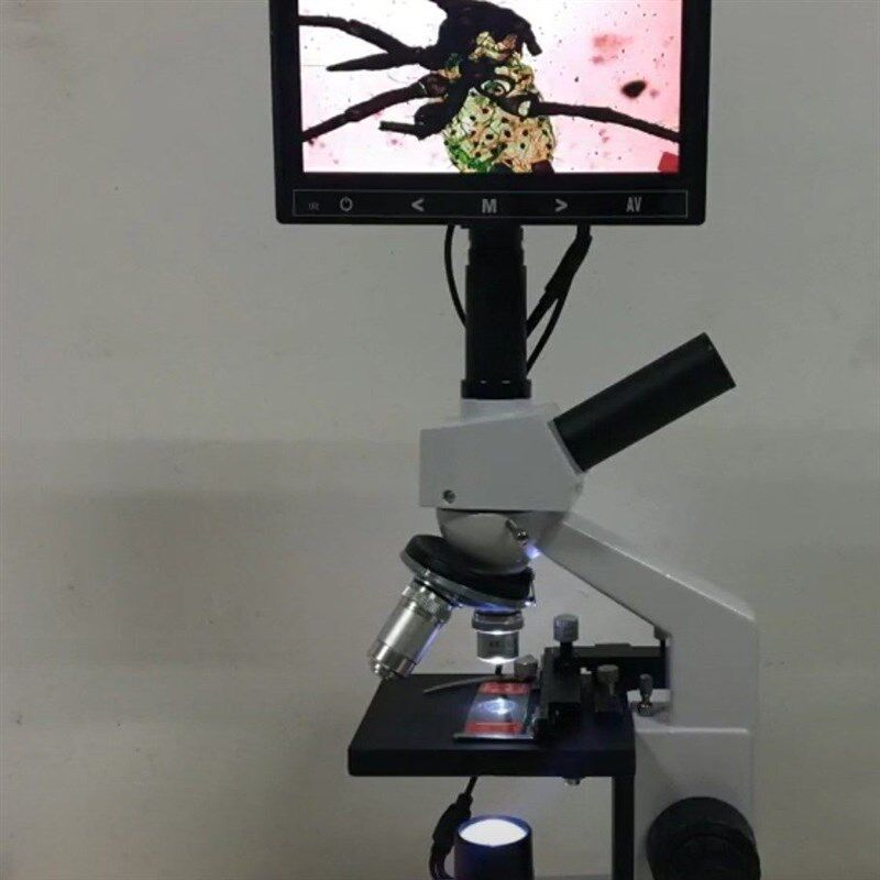 光学显微镜专业看精子猪精人工授精恒温加热水藻鱼养殖水产显示屏