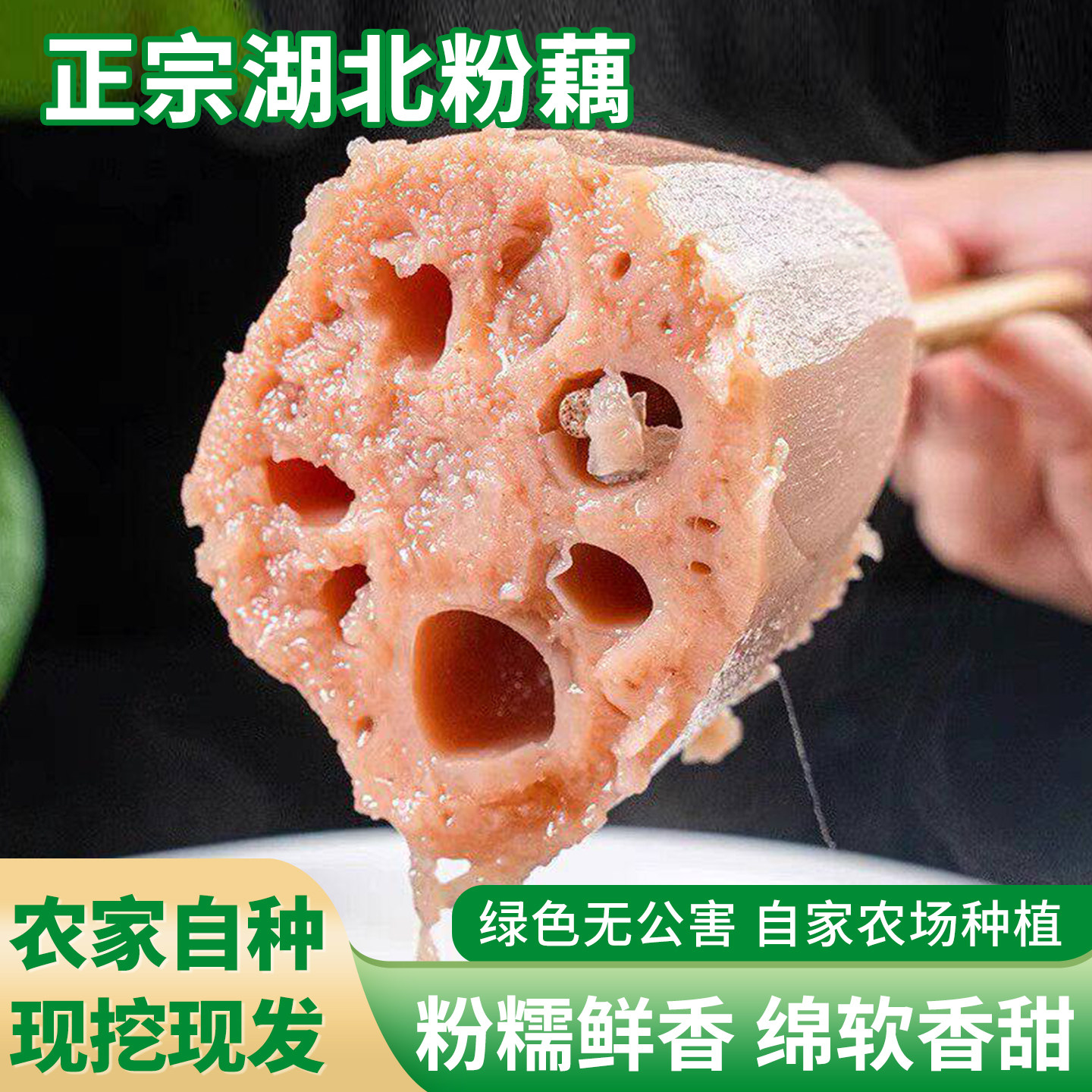 湖北粉藕农家自种新鲜现挖粉糯香甜煲汤糯米藕绵软绿色拒绝漂白