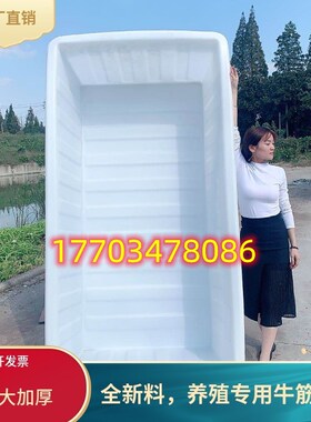 牛筋加厚塑料水箱长方形水产养殖家用养鱼泡瓷砖盆储水桶大号容量