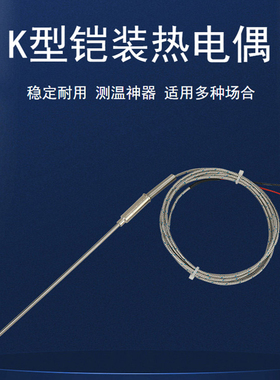 K型铠装热电偶WRNK-191探针式可弯曲热电阻pt100E温度传感器探头