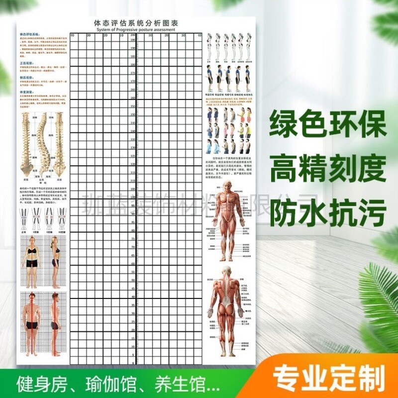 体态评估图墙贴健身房体测表瑜伽馆私教身体姿势网格纸体位体姿图