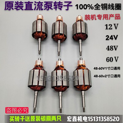 潜水泵转子 直流泵转子配件 12V24V48V60伏转子 通用铜线电机线圈
