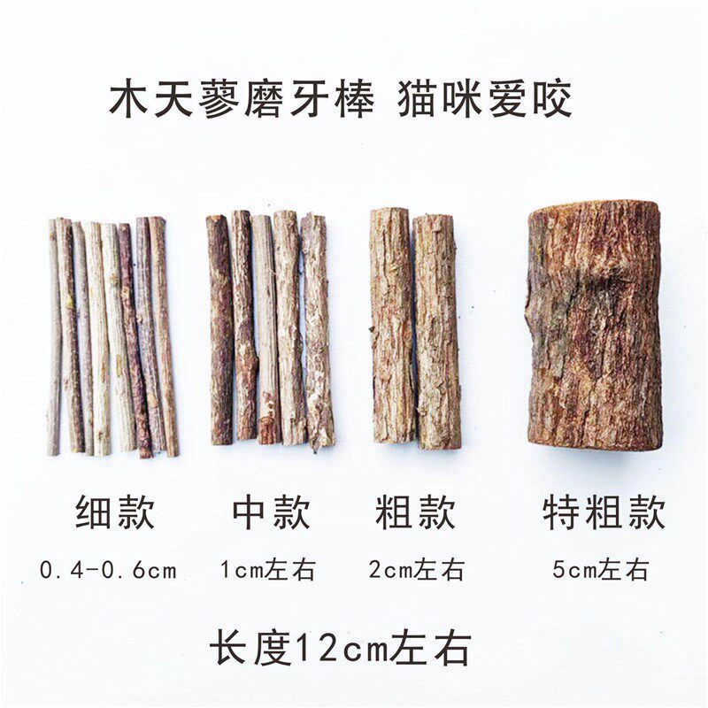 猫咪虫瘿果项链逗猫棒木天蓼磨牙棒解闷猫薄荷球玲珑球自嗨用品