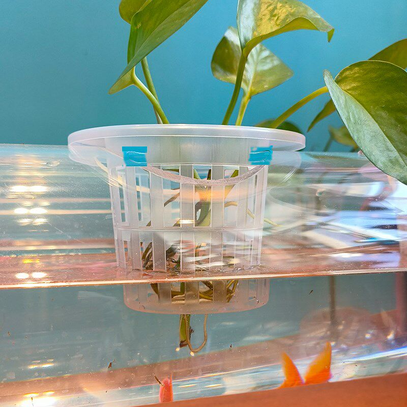 透明管养鱼架个性鱼缸幼儿园植物角装饰摆件创意花架可循环鱼缸