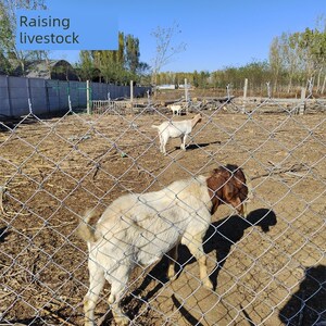 带刺铁丝防护网围栏镀锌钢丝网挂钩图案养殖网护栏狗P牛羊猪菱形
