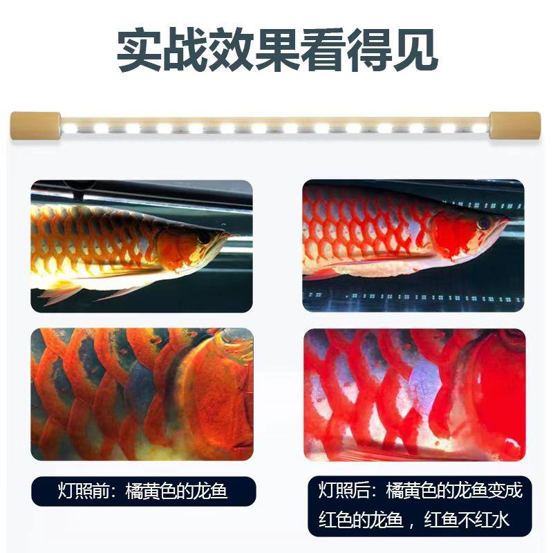 马印神灯三基色鱼缸灯LED灯防水红龙增艳灯水族箱红龙专用发色灯