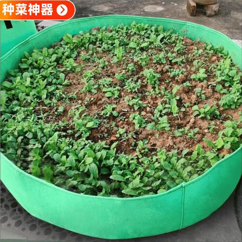 特大楼顶美种植袋防腐木花箱超大阳台不织布加厚种菜神器透气花盆