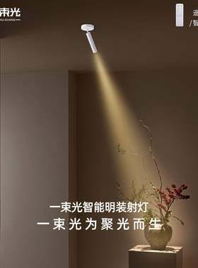 一束光聚光射灯小角度智能明装茶台挂画摆件盆栽植物艺术氛围装饰