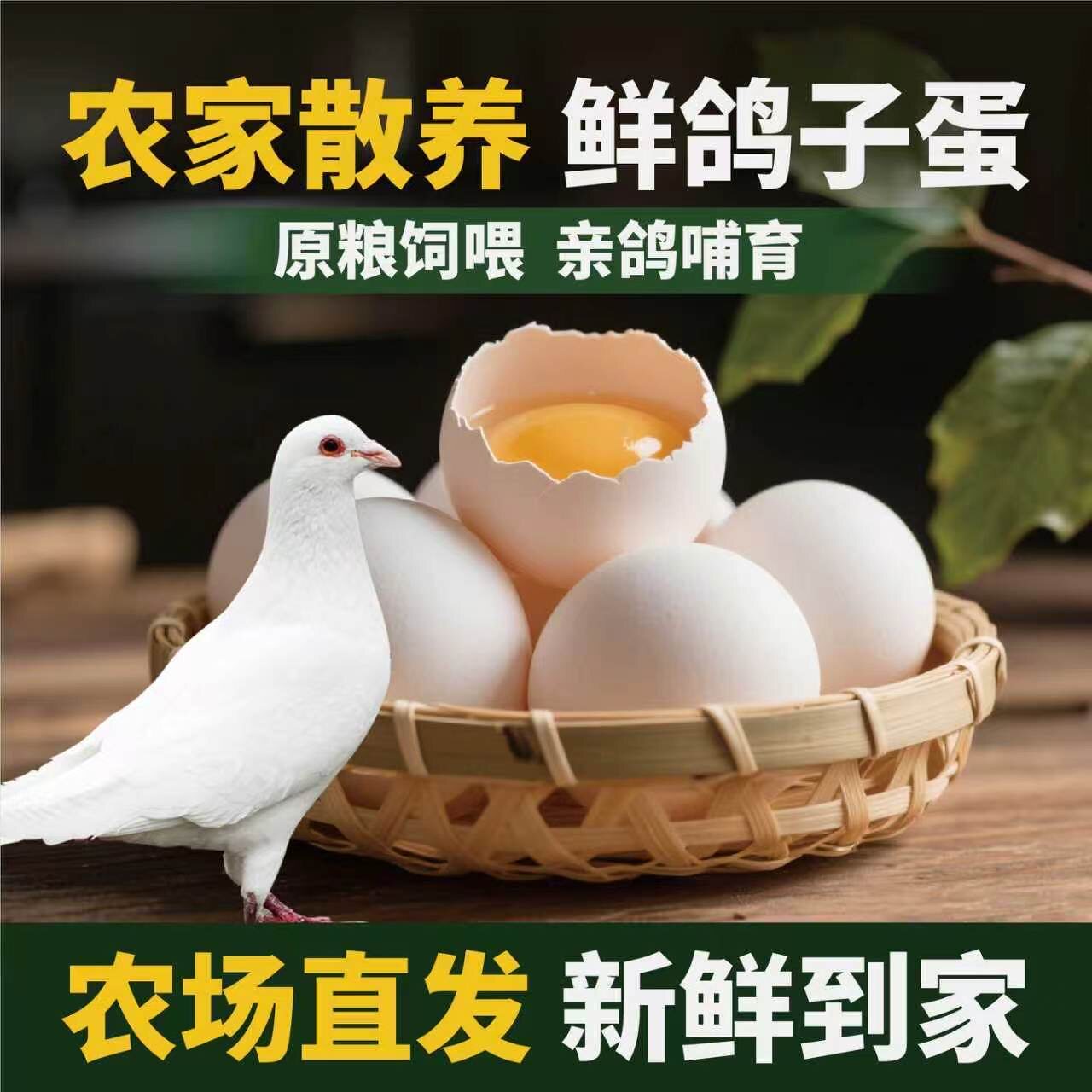 30枚包邮新鲜初生鸽子蛋个头小信鸽蛋孕妇宝宝辅食鸽蛋现捡现发