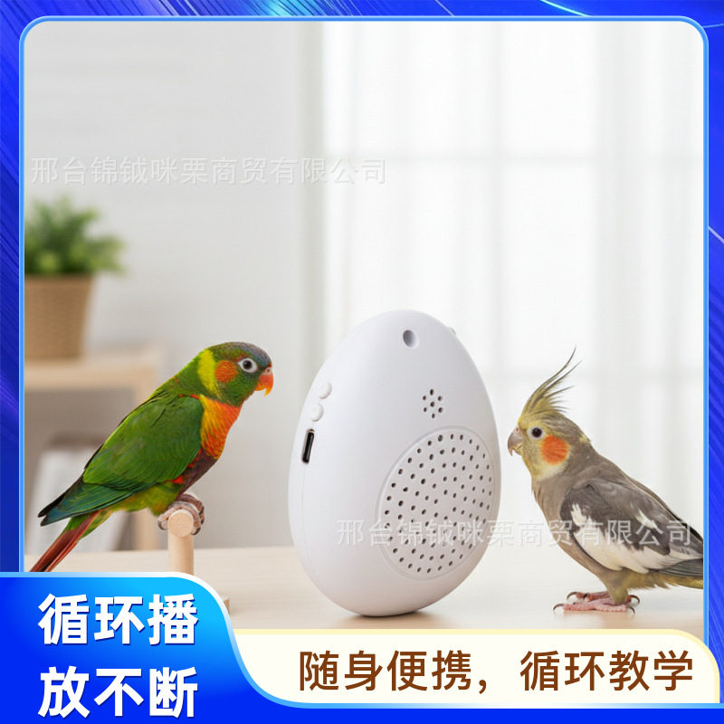 鸟用学习机八哥学说话小巧便携式复读机鹦鹉学话机鹩哥说话训练机
