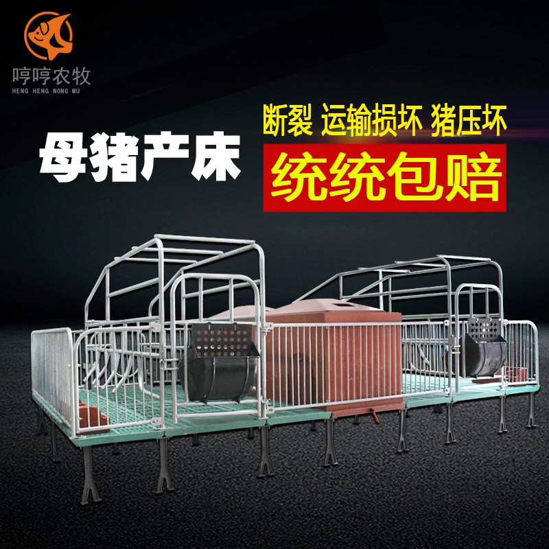 母猪产床母猪定位栏猪产床双体配件分娩床养殖场设备小仔猪保育床